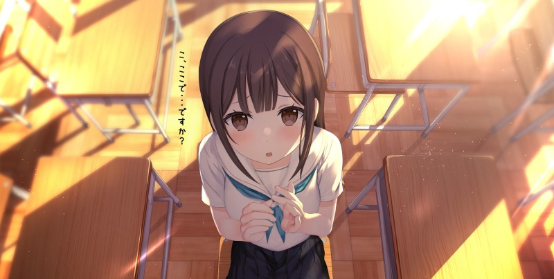 Anime School Girl, Classroom, Sunlight, Shadow, Brown Hair, Anime Wallpaper