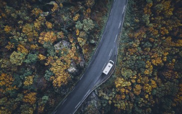 Road, Trees, Fall, Top View, Nature Wallpaper