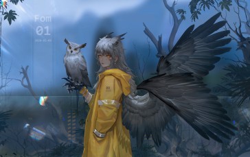 Fallen Angel, Wings, Owl, Gray Hair, Coat, Anime Girl Wallpaper