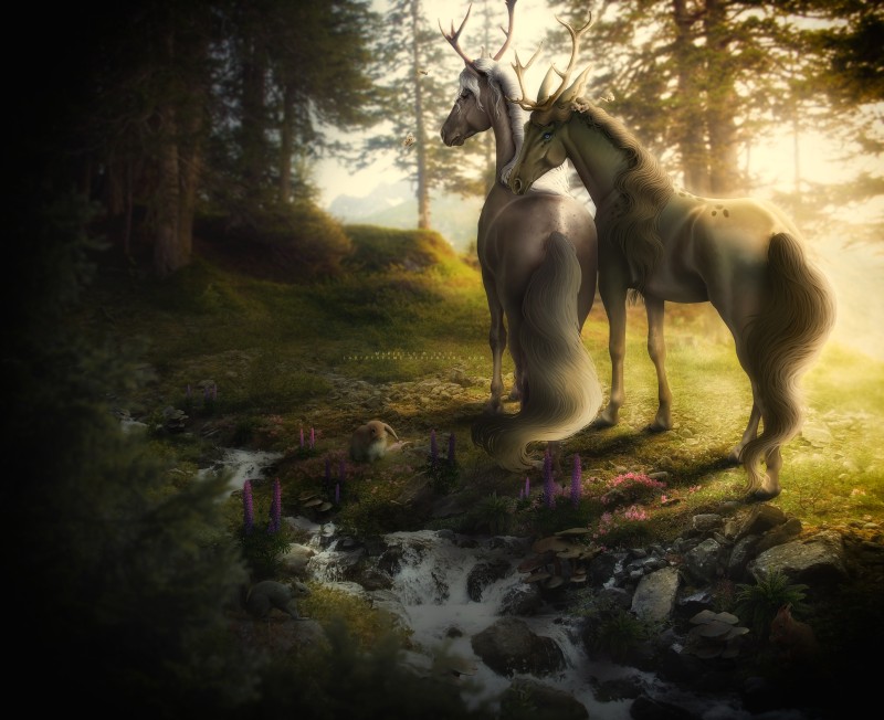 Fantasy Forest, Creatures, Rabbits, Horses Wallpaper