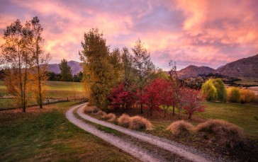 Landscape, 4K, New Zealand, Nature, Path Wallpaper