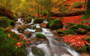 Autumn, Waterfall, Stream, Fall, Moss, Rocks Wallpaper