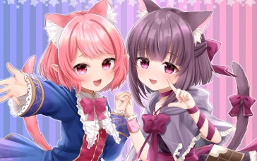 Cute Anime Cat Girls, Loli, Hoodie, Happy, Animal Ears Wallpaper