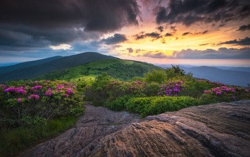 Mountains, Sunset, Hills, Plants Wallpaper