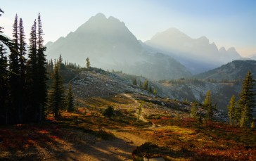 Washington, USA, Landscape, Mist Wallpaper