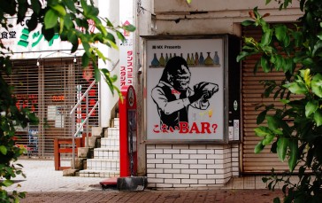 Okinawa, Gorillas, Store Front, Japanese Wallpaper