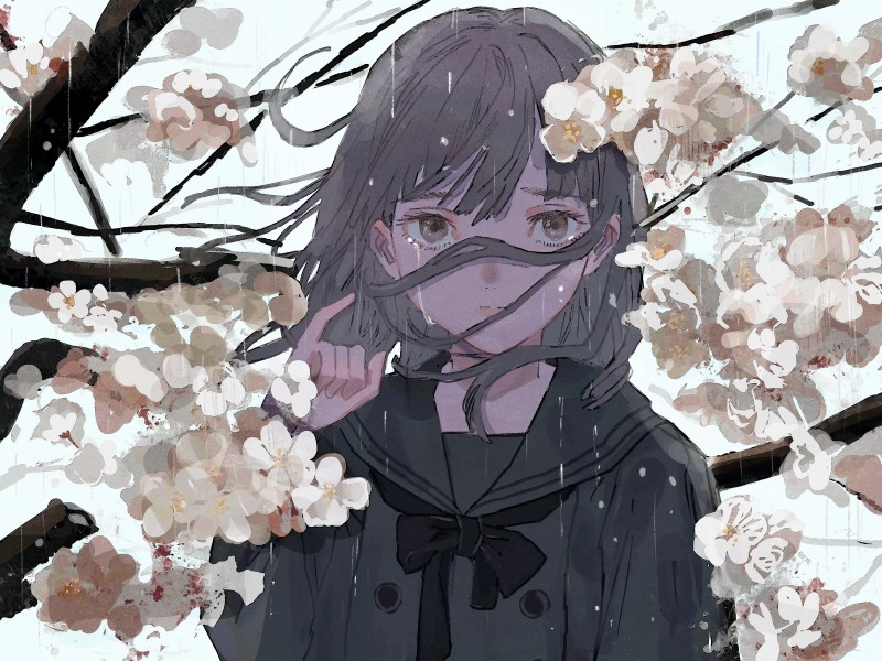 Sad Anime Girl, Tears, Cherry Blossom, Spring Wallpaper