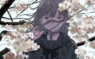 Sad Anime Girl, Tears, Cherry Blossom, Spring Wallpaper