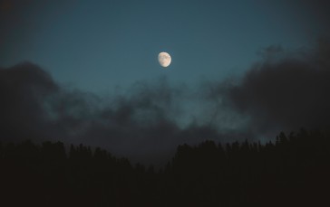 Nature, Clouds, Pine Trees, Forest, Moon, Moonlight Wallpaper