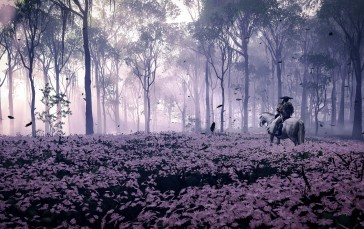 CGI, Flowers, Horse, Trees, Nature Wallpaper