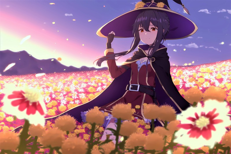Konosuba, Megumin, Flower Field, Witch Hat Wallpaper