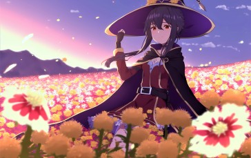 Konosuba, Megumin, Flower Field, Witch Hat Wallpaper