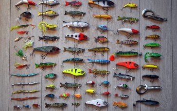 Fish Hooks, Flat Lay, Fish, Simple Background Wallpaper