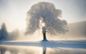 AI Art, Sun, Snow, Winter, Frost Wallpaper
