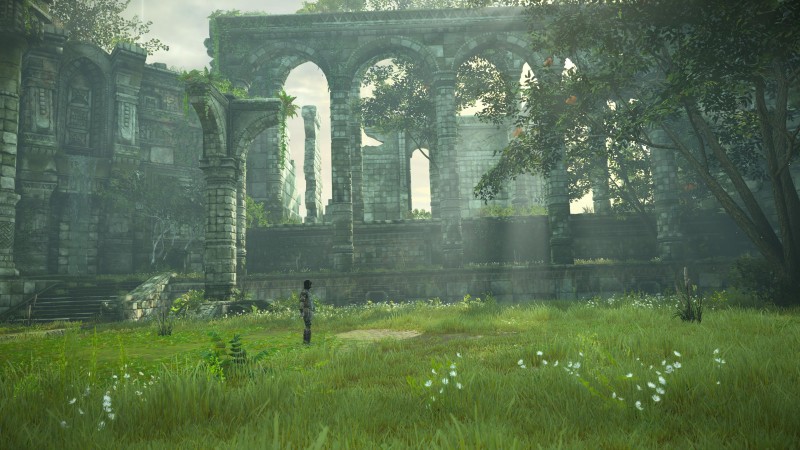 Shadow of the Colossus, Wander, PlayStation, PlayStation 4 Wallpaper