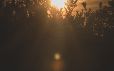 Portrait, Sunrise, Photography, Sun Rays Wallpaper