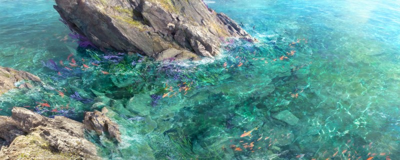 Artwork, Digital Art, River, Fish, Rocks Wallpaper