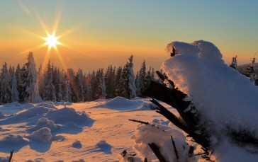 Snow, Nature, Sun Rays, Forest, Silent, Trees Wallpaper
