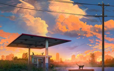 Artwork, Digital Art, Cats, Sunset, Clouds Wallpaper