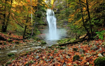 Waterfall, Autumn, Stream, Moss Wallpaper