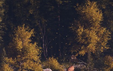Landscape, Deer, Wildlife, Art, River, Forest Wallpaper