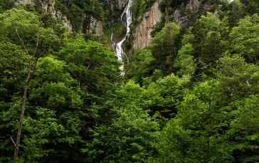 Waterfall, Cascade, Forest, Trees, Cliff, Nature Wallpaper
