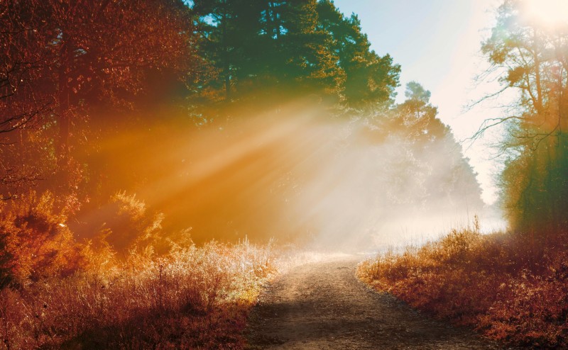 Road, Dirt, Sunbeam, Autumn, Nature Wallpaper