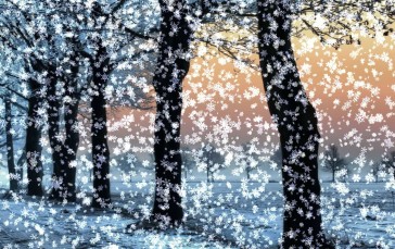 Trees, Park, Snowflakes, Artwork, Nature Wallpaper