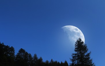 Moon, Clear Sky, Trees, Nature Wallpaper