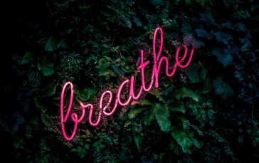 Neon Sign, Foliage, Breathe, Pink Wallpaper
