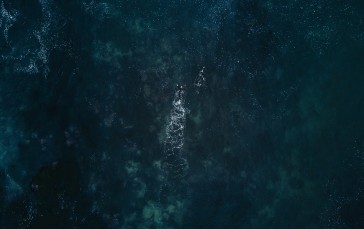 Ocean, Swimmers, Top View, Nature Wallpaper