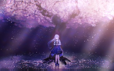 Kamisato Ayaka, Genshin Impact, Anime Games, Sakura Blossom Wallpaper