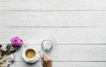 Tea, Cup, Flower, Hand Wallpaper