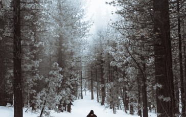 Winter, Forest, Snow, Woman Wallpaper