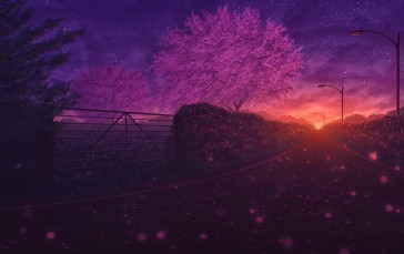 Anime Landscape, Night, Sakura Blossom, Sunset, Road Wallpaper