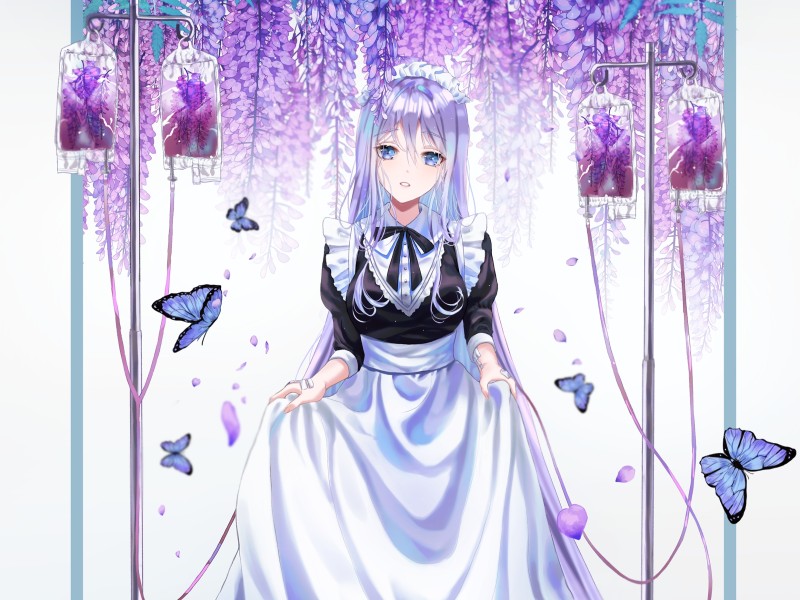 Anime Maid Girl, Butterflies, Beautiful, Blue Eyes, Maid Outfit, Anime Wallpaper