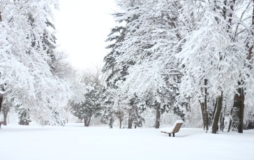 Winter, Snow, Bench, Nature Wallpaper