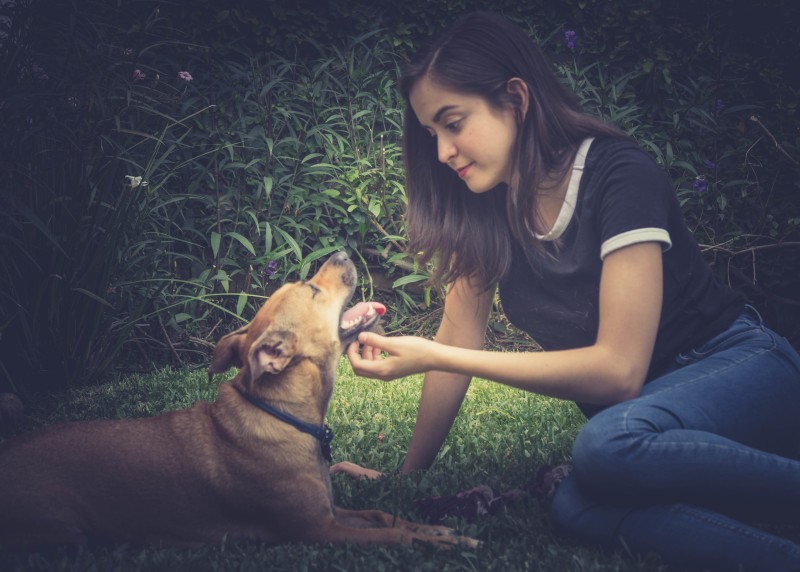 Women, Dog, Glasses, T-shirt Wallpaper