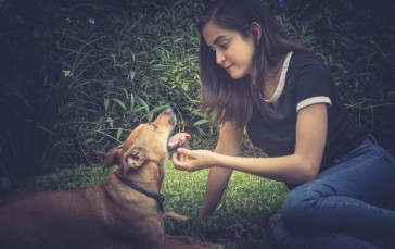 Women, Dog, Glasses, T-shirt Wallpaper