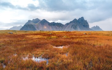 Iceland, Grassland, Field, Mountain Wallpaper