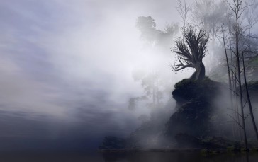 Fog, Trees, Cliff, Rocks, Nature Wallpaper