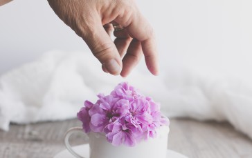 Purple Flower, Hand, Cup, Aesthetics, Flowers Wallpaper