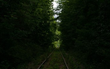 Railway, Overgrown, Forest, Green, Nature, Ghost Wallpaper
