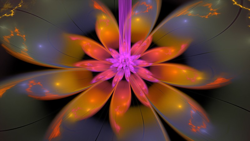 Fractal Flower, Petals, Shiny, Glowing, Abstract Wallpaper