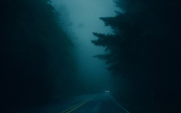 Mist, Road, Pine Trees, Headlight Beams Wallpaper