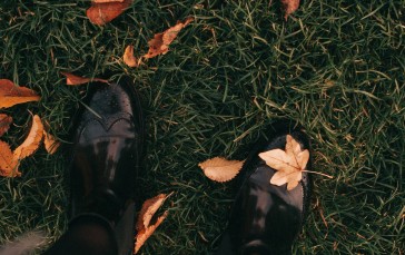 Autumn Leaves, Grass, Boots, Nature Wallpaper