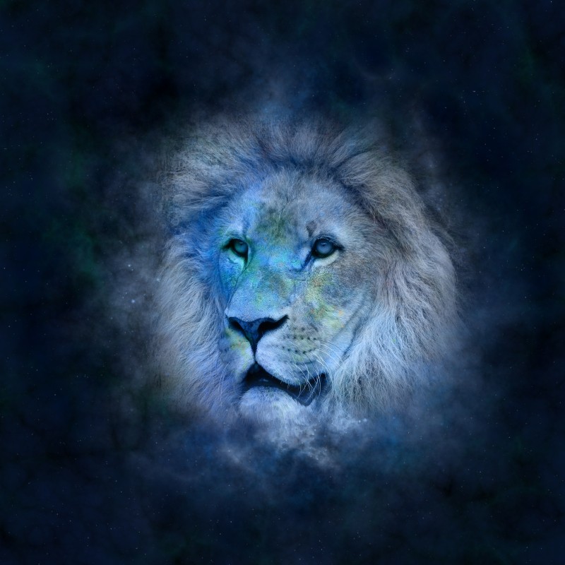 Lion, Space, Digital Art, Photo Manipulation, Muzzle, Looking Away Wallpaper