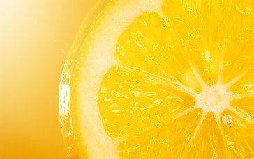 Lemon Slice, Macro, Summer, Fresh, Food Wallpaper