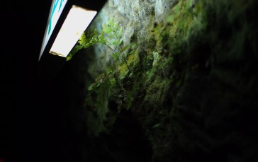 Okinawa, Bunker, Moss, Artificial Lights Wallpaper