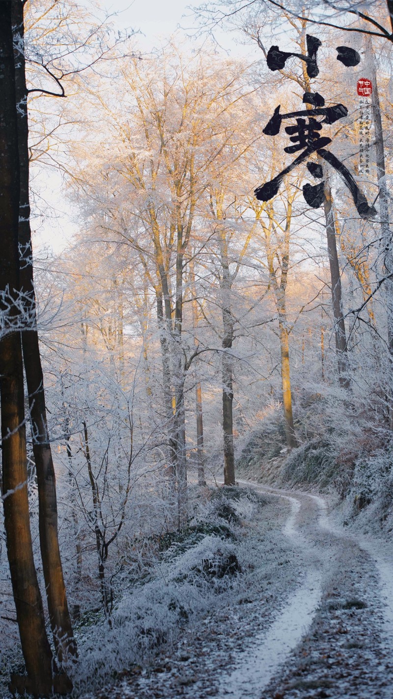 Nature, Seasons, Snow, Landscape Wallpaper